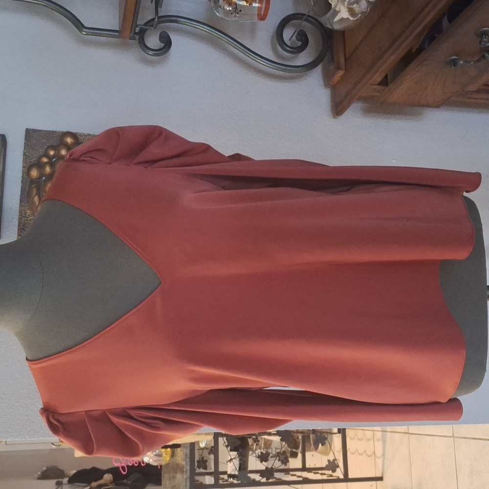 L/S Gianni Bini blouse in pumpkin  size L;